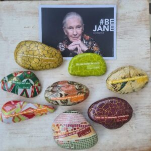 Jane Goodall-Steine