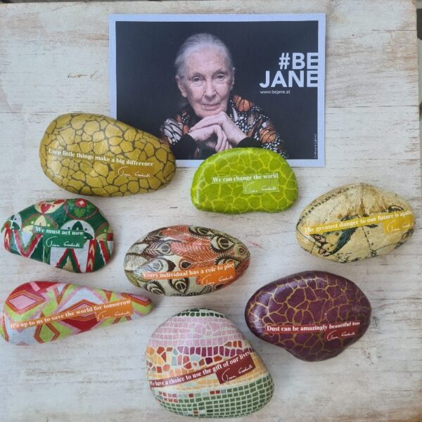 Jane Goodall-Steine – Bild 3