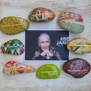 Jane Goodall Postkarte inmitten von bunten Steinen