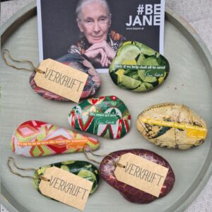 jane goodall steine