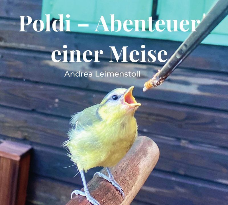 Poldi – Abenteuer einer Meise