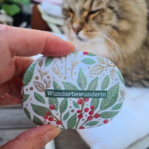 Stein "Wunderbewunderin"