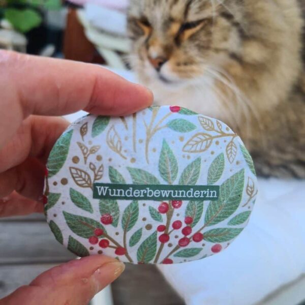 Stein "Wunderbewunderin"