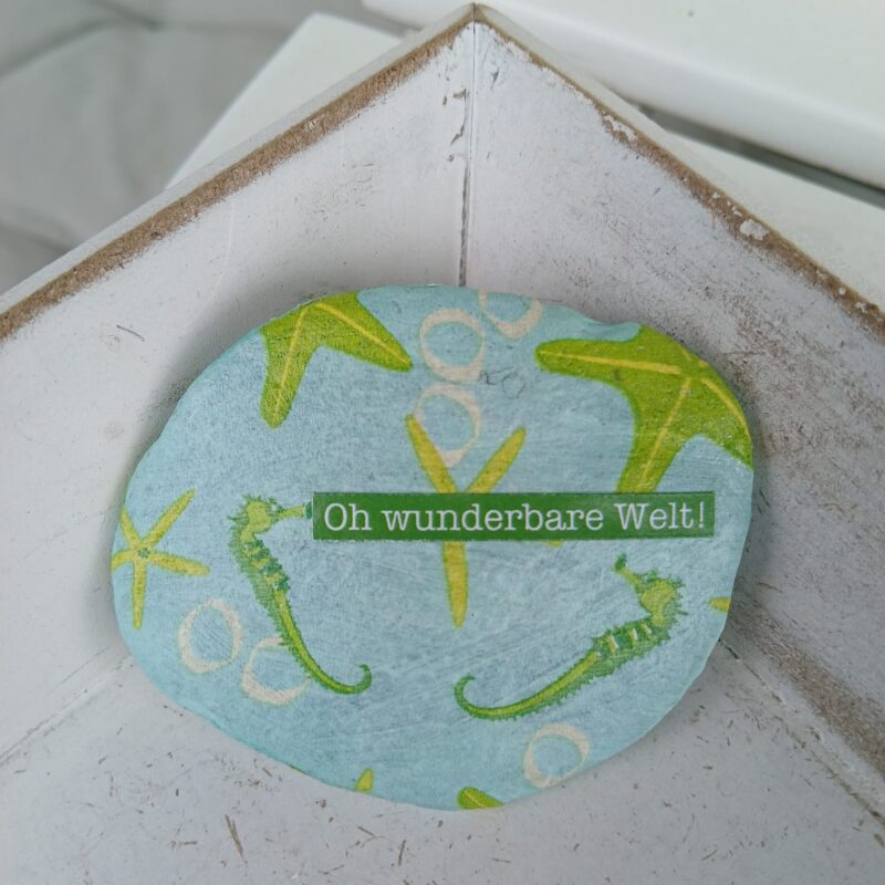 seepferdchen auf einem stein